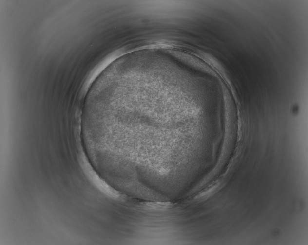 X0000116550859200912311910