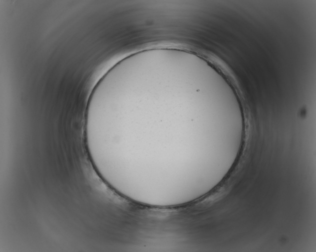 X0000116550860200912311910