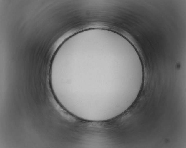 X0000116550861200912311910