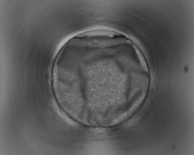 X0000116550862200912311910