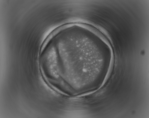 X0000116550863200912311910