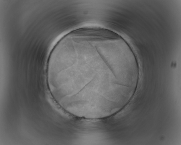 X0000116550864200912311910