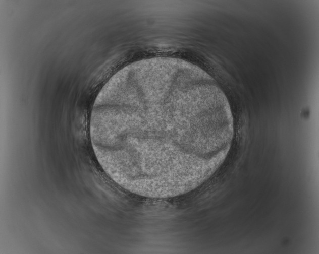 X0000116550866200912311909