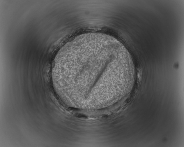 X0000116550867200912311909