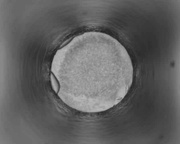 X0000116550868200912311909