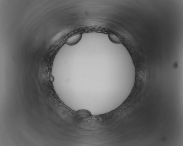 X0000116550869200912311909