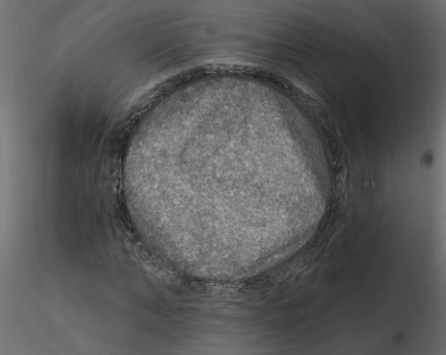 X0000116550870200912311909