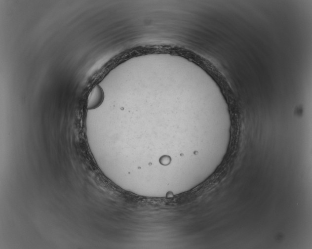 X0000116550871200912311909