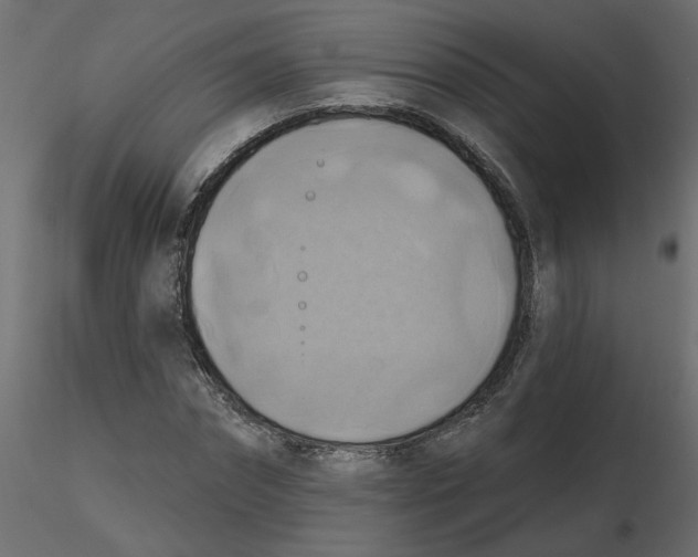 X0000116550874200912311909