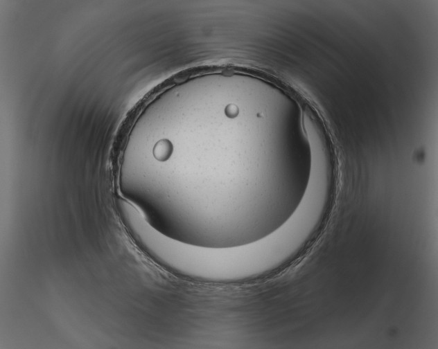 X0000116550876200912311909