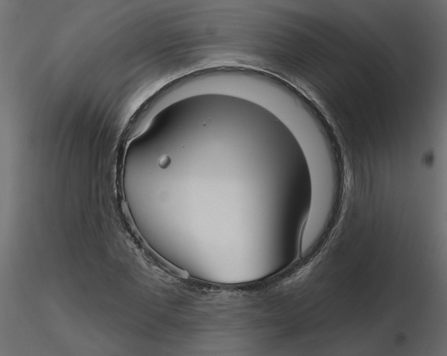 X0000116550877200912311909