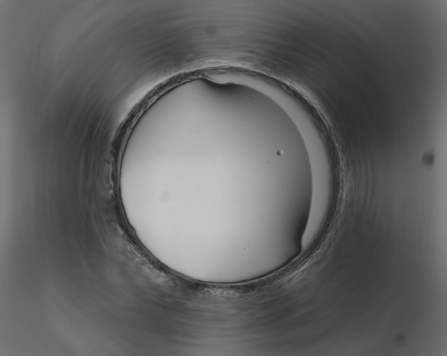 X0000116550878200912311909