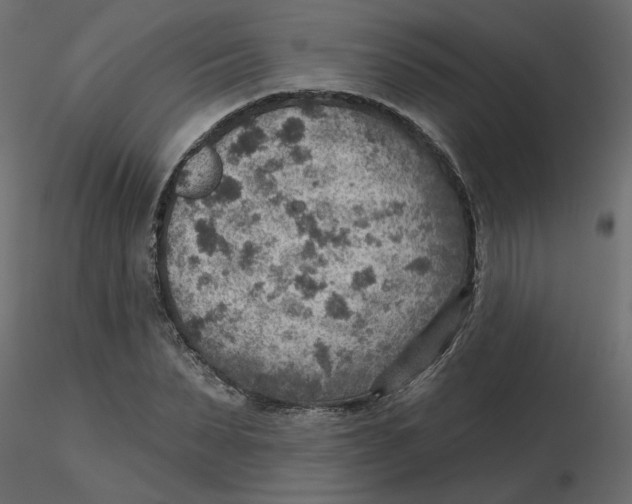 X0000116550879200912311909