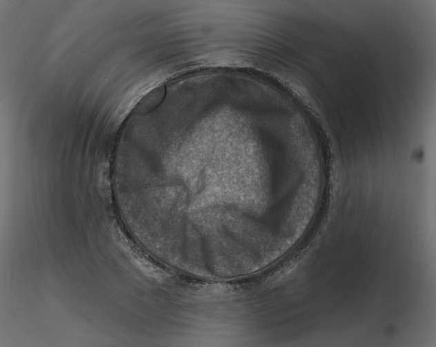 X0000116550881200912311909