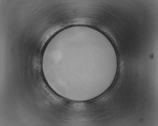 X0000116550882200912311909