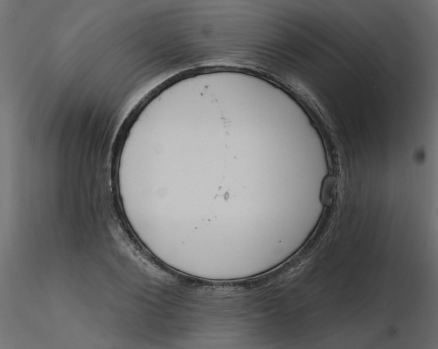 X0000116550884200912311909