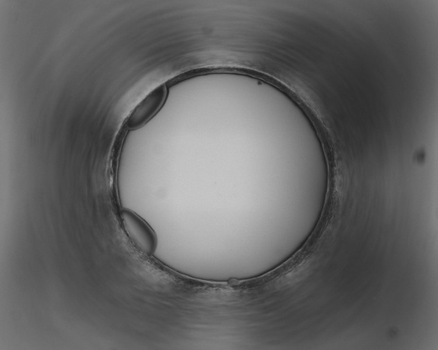 X0000116550885200912311909