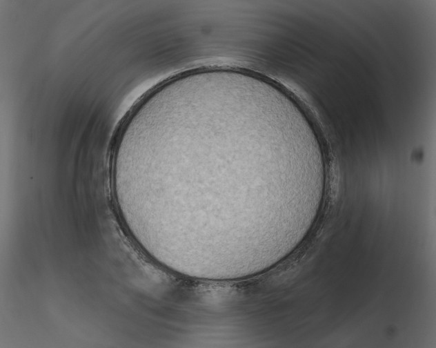 X0000116550886200912311909