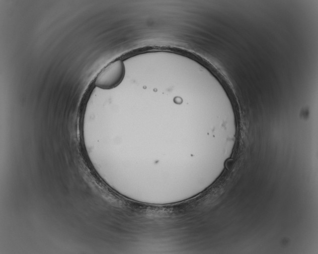 X0000116550887200912311909