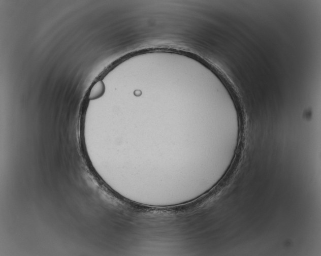 X0000116550888200912311909