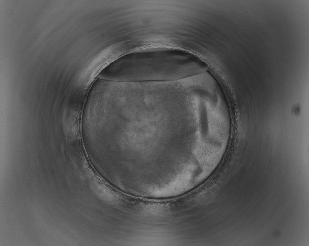 X0000116550889200912311909