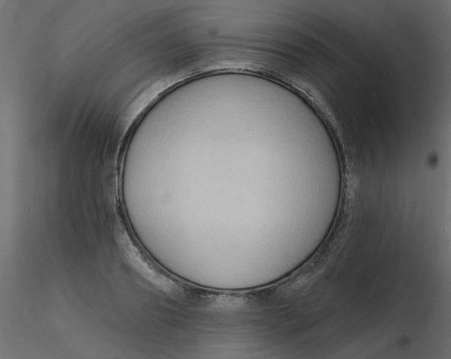 X0000116550890200912311909