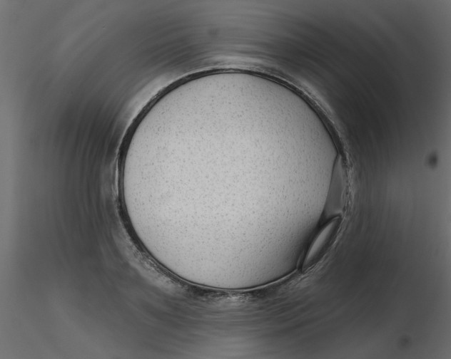 X0000116550891200912311909