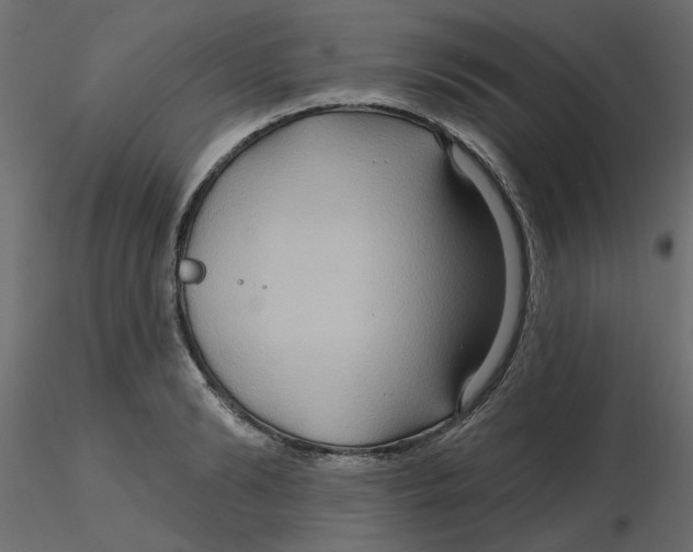 X0000116550894200912311909