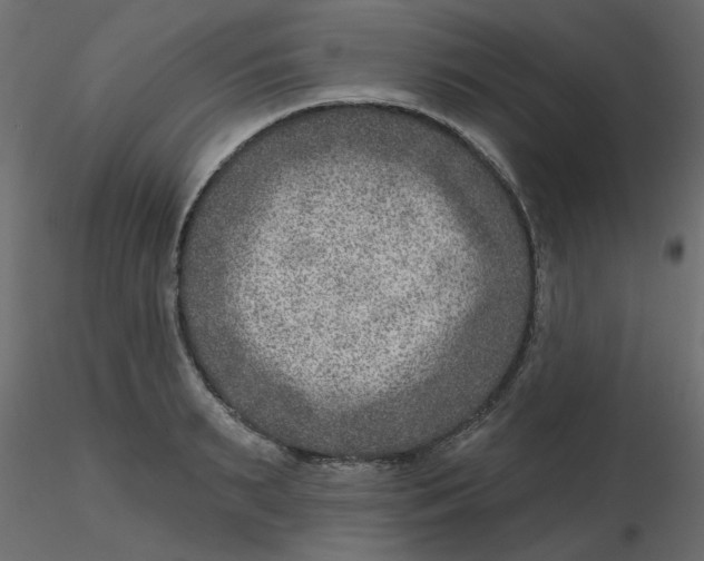 X0000116550895200912311909