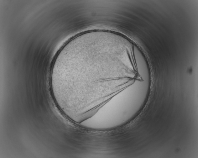 X0000116550896200912311909