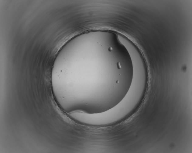 X0000116550897200912311909