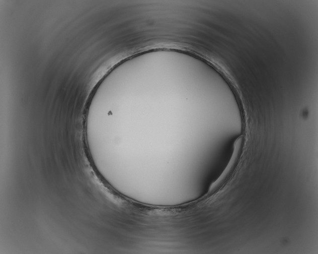 X0000116550898200912311909