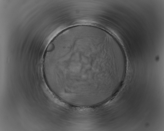 X0000116550899200912311909