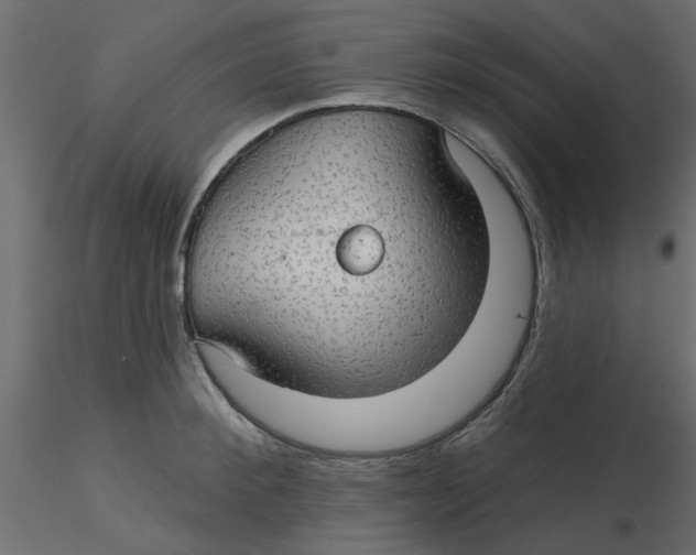 X0000116550900200912311909