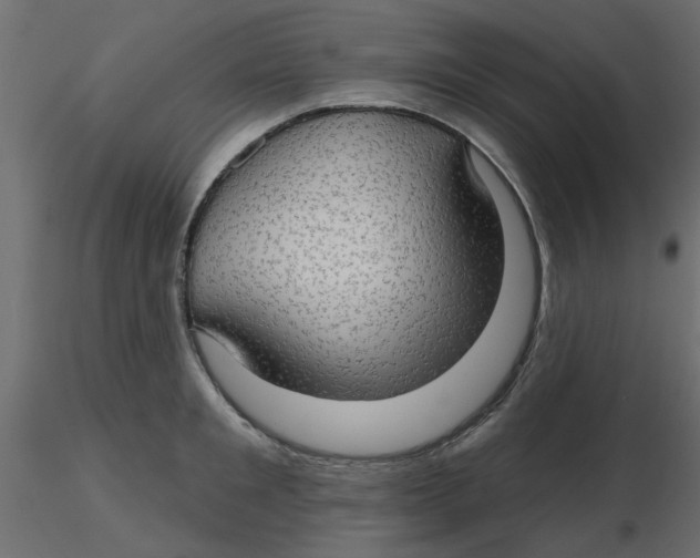 X0000116550901200912311909