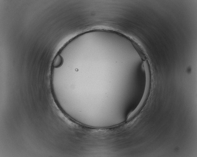 X0000116550902200912311909