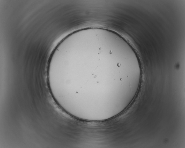 X0000116550904200912311909