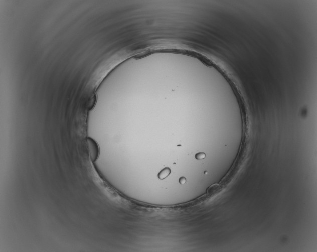 X0000116550905200912311909