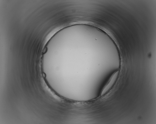 X0000116550906200912311909