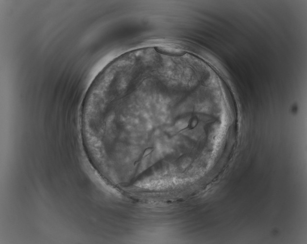 X0000116550907200912311909