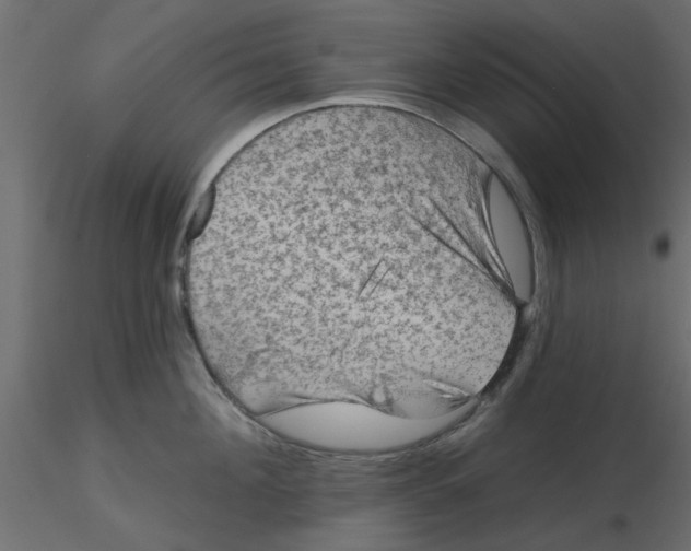 X0000116550908200912311909