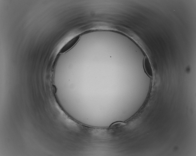 X0000116550909200912311909