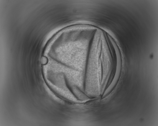 X0000116550910200912311909