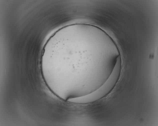 X0000116550912200912311909