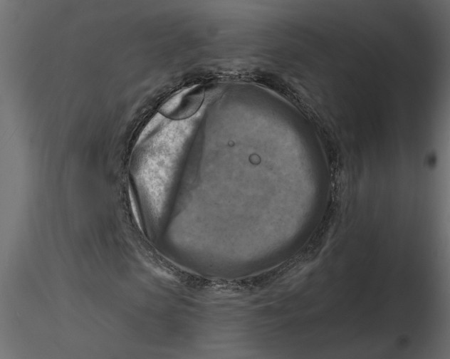 X0000116550913200912311908