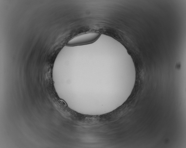 X0000116550914200912311908