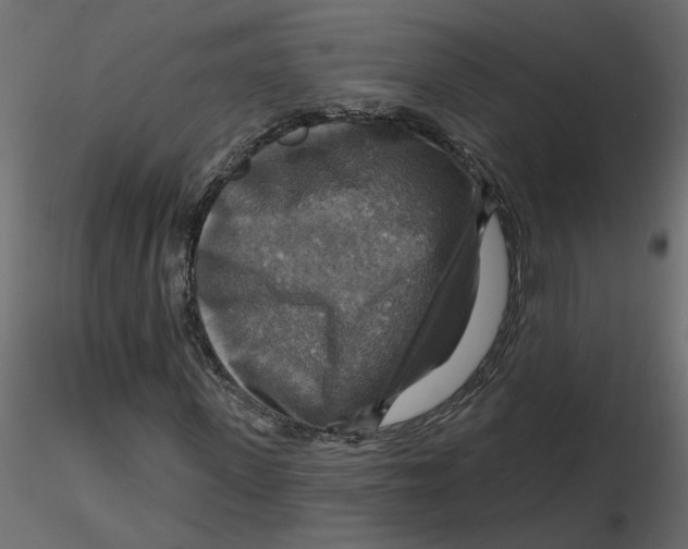 X0000116550915200912311908