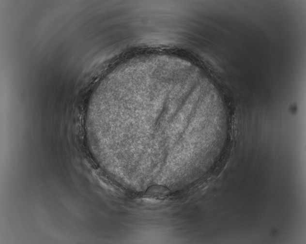 X0000116550917200912311908