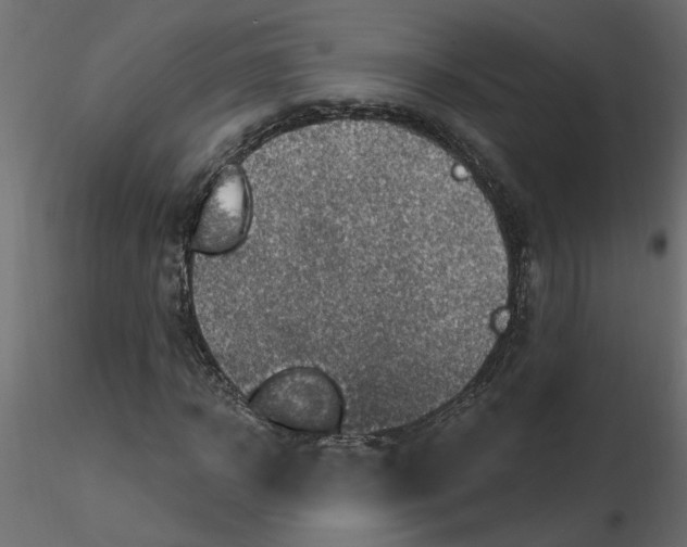 X0000116550918200912311908