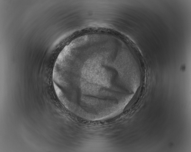 X0000116550919200912311908